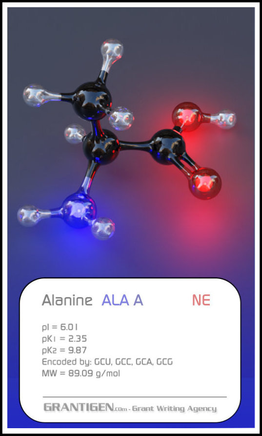 Alanine