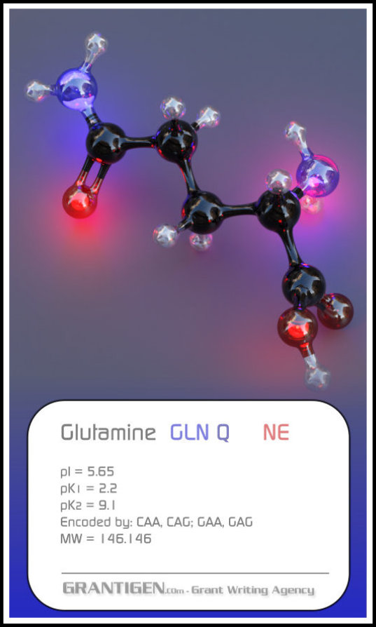 Glutamine