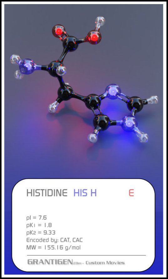 Histidine