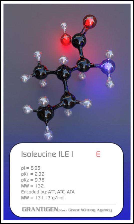 Isoleucine