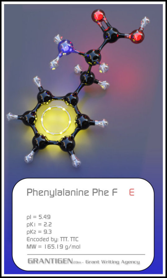 Phenylalanine