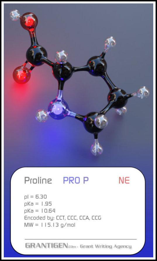 Proline