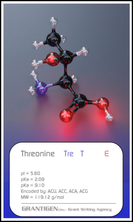 Threonine