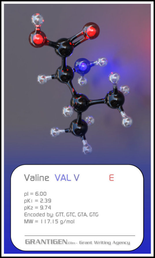 valine