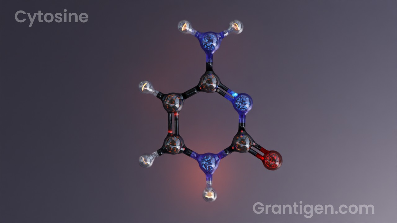 cytosine