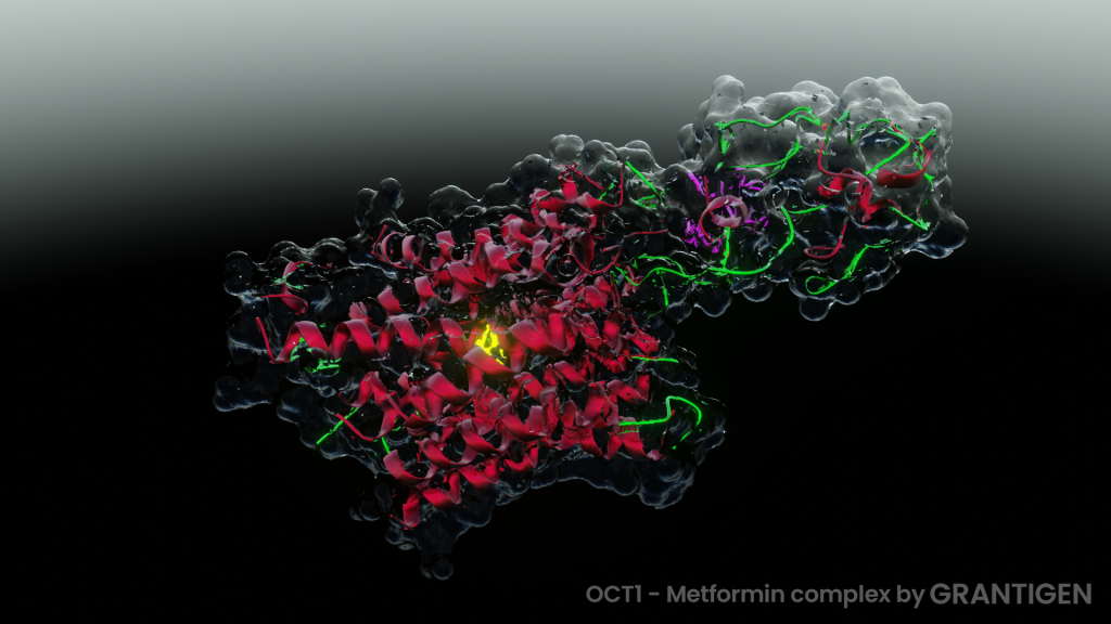 oct1-metformin complex metformin