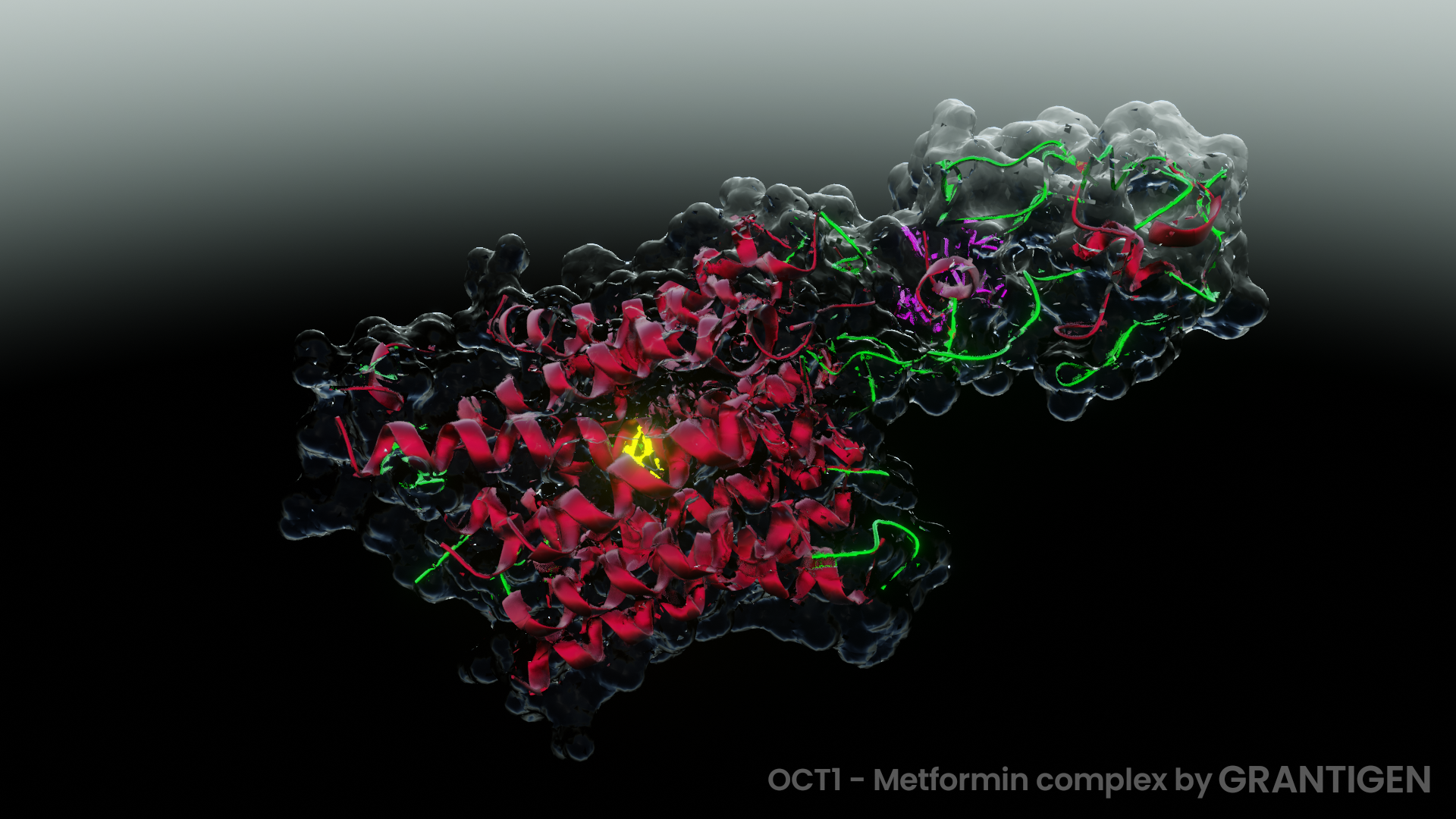 metformin