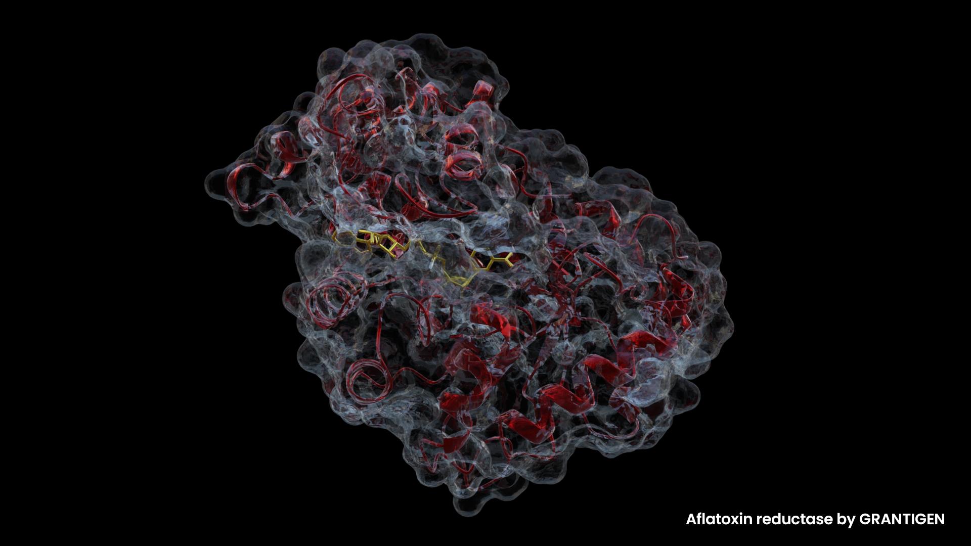 Aflatoxin reductase