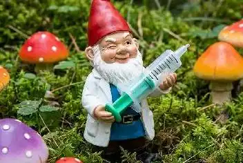 script writing service