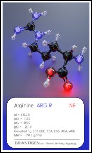 arginine arginine