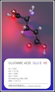 glutamic acid glutamic acid