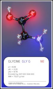 glycine glycine