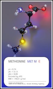 methionine methionine