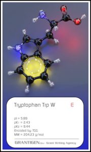 tryptophan tryptophan