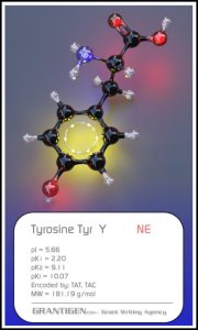 tyrosine tyrosine