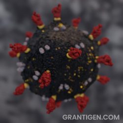 Covid19 virus image Covid19 virus image